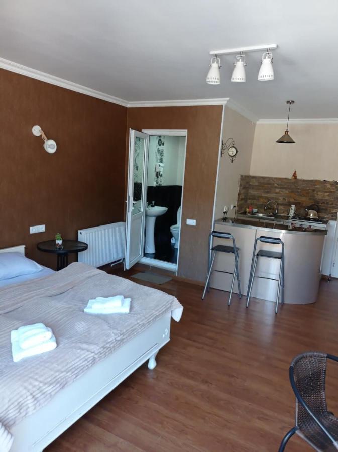 Tamara Apartment Borjomi Luaran gambar